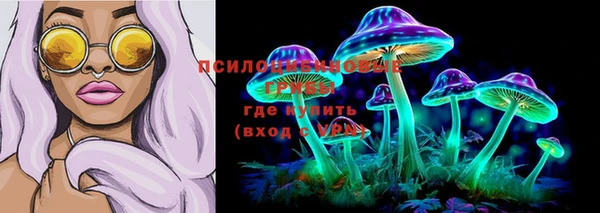 альфа пвп Горнозаводск