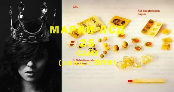 ECSTASY Горняк