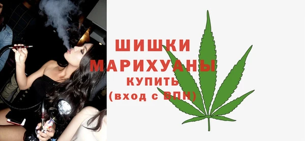 ECSTASY Горняк