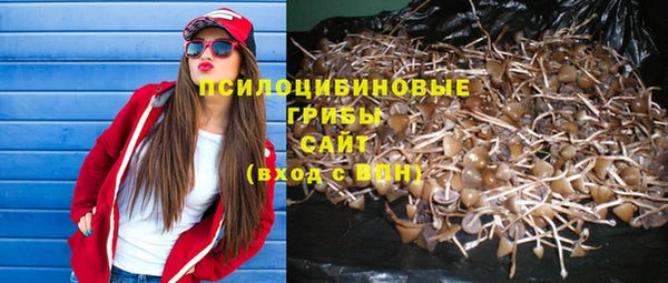альфа пвп Горнозаводск