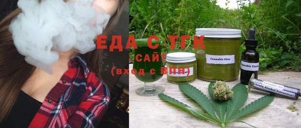 ECSTASY Горняк