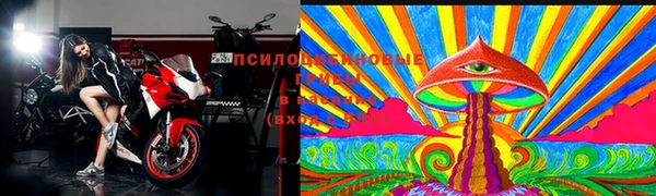 ECSTASY Горняк
