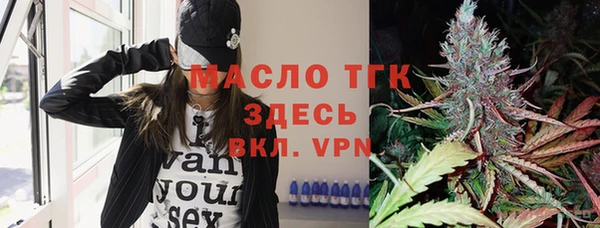 ECSTASY Горняк
