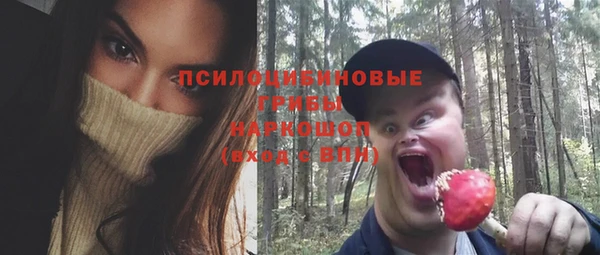 альфа пвп Горнозаводск